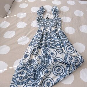 Zara Blue and White Patterned Maxi Dress